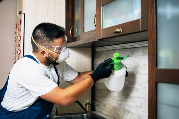 Best Pest Removal Services  in Anaheim, CA