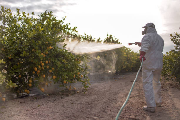 Best Mosquito Control Services  in Anaheim, CA