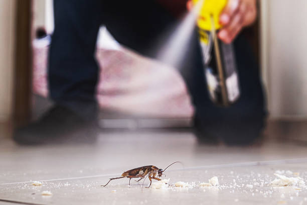 Best Pest Control Near Me  in Anaheim, CA