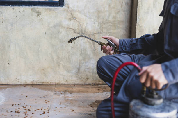 Best Exterminator Services  in Anaheim, CA